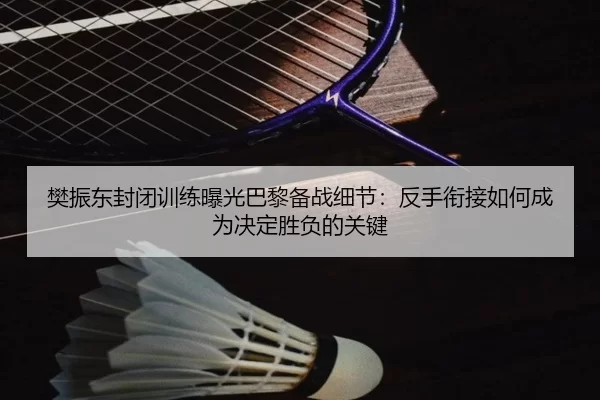樊振东封闭训练曝光巴黎备战细节：反手衔接如何成为决定胜负的关键