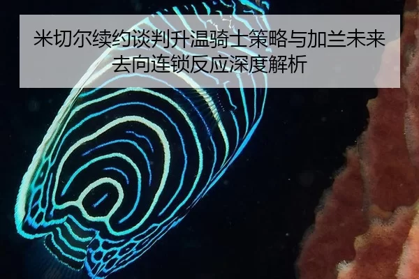 米切尔续约谈判升温骑士策略与加兰未来去向连锁反应深度解析