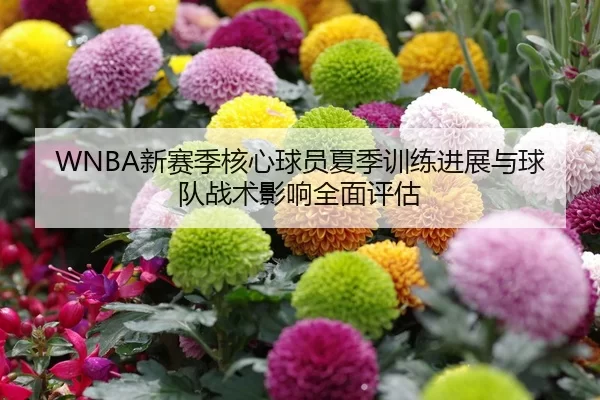 xin-sai-ji-he-xin-qiu-yuan-xia-ji-xun-lian-jin-zhan-yu-qiu-dui-zhan-shu-ying-xiang-quan-mian-ping-gu-2-738.jpg