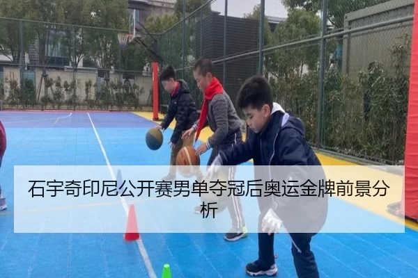 shi-yu-qi-yin-ni-gong-kai-sai-nan-dan-duo-guan-hou-ao-yun-jin-pai-qian-jing-fen-xi-3-800.jpg