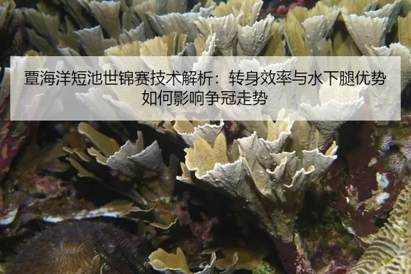 tan-hai-yang-duan-chi-shi-jin-sai-ji-shu-jie-xi-zhuan-shen-xiao-lv-yu-shui-xia-tui-you-shi-ru-he-ying-xiang-zheng-guan-2-148.jpg